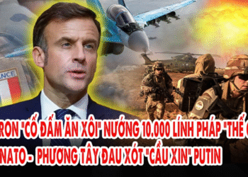 Macron “cố đấm ăn xôi” nướng 10.000 Lính Pháp “thế chỗ” cho NATO. Phương Tây đau xót “cầu xin” Putin