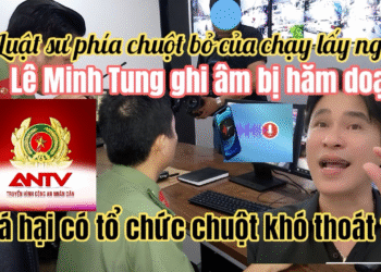 12/9: Hồng Loan Vỡ Oà Lê Minh Tung Ghi Âm PAV Bị Xúc Phá Show, LS Chuột Lo Sợ Bỏ Của Chạy Lấy Người