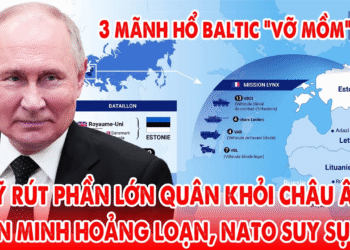 Từ Baltic đến Kiev, Mỹ rút quân khỏi Đông Âu, NATO suy sụp !