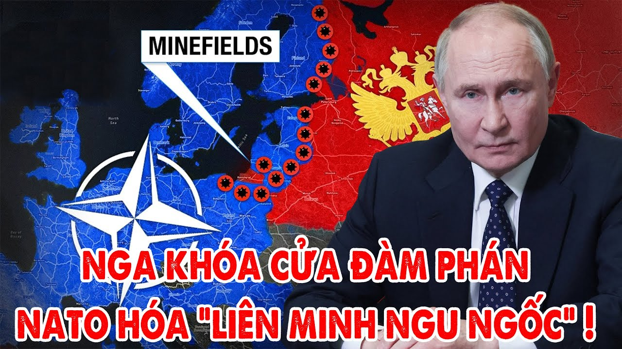 Nga khóa cửa đàm phán, Ukraine tê liệt, NATO hóa ra là “Liên minh Ngu Ngốc” ! – 5P Kiến Thức
