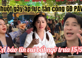 Trưa 15/9: VC Chuột Gây Áp Lực GĐ PAV Sợ Lộ Kẻ Chủ Mưu, Hồng Loan Mừng Run Nhận Tin Vui Từ CA