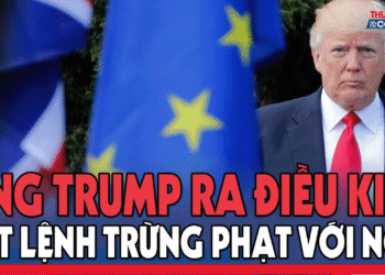 Ông Trump ra điều kiện trừng phạt Nga, NATO lâm vào thế khó trên bàn cờ Ukraine