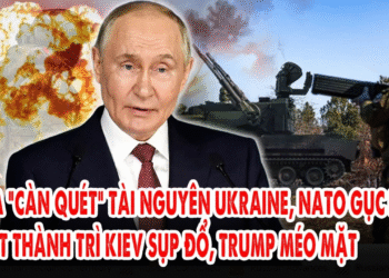 Nga “càn quét” tài nguyên Ukraine, NATO gục ngã: Loạt thành trì Kiev sụp đổ, Trump méo mặt