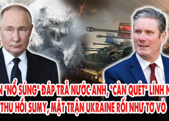 Putin “nổ súng” đáp trả nước Anh, “càn quét” lính NATO: Nga thu hồi Sumy, Ukraine rối như tơ vò