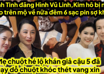 Bình Tinh đăng Hình Vũ Linh quá linh thiên,kim hô lên mộ về bị nhập 6 sạc pin sợ ko dám nói cho ra