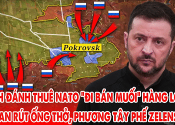 Nga phá tan cánh công Pokrovsk, Ukraine hoảng loạn, phương Tây hạ bệ Zelensky ! – 5P Kiến Thức