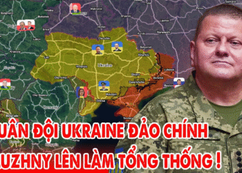 Quân đội đảo chính Kiev, Zaluzhny lật đổ Zelensky, Ukraine quân sự hóa toàn diện !