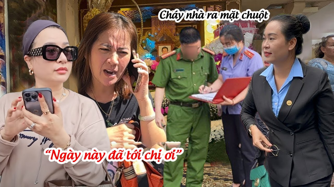 Hồng Loan Tá Hoả Cô 6 Lên Toà Nộp THỨ NÀY, Chuột Cả Gan Chi Tiền Làm Chuyện KHÓ TIN?