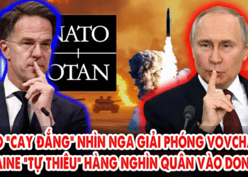 NATO “cay đắng” nhìn Nga giải phóng Vovchansk: Ukraine “tự thiêu” hàng nghìn quân vào Donetsk