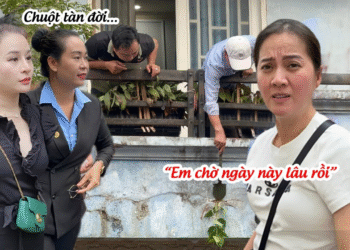 Chuột Ngất Xỉu Nghe TIN DỮ Từ LS Hồng Loan, Ve Chúa Kéo Xuống Mộ Làm CHUYỆN NÀY?