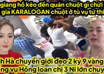 Chuột bị bụp tại quán chửi chị Karalogan chuột ở tù vụ từ thiện 5 người việt kiều về thưa,vụ chị 3