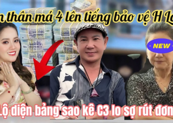 Mẹ Nuôi Chi 3 Lên Tiếng Bảo Vệ Hồng Loan, Má 4 Qua Nhà Tung Sao Kê Chi 3 Lo Sợ Xuống Nước Làm Hoà