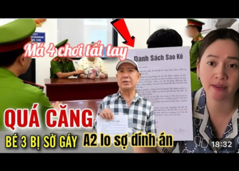 Hồng Loan Tung Sao Kê A2 C3 Sợ Xanh Mặt Vì Dính Án, Chị Đại Vả Thẳng Mặt Lele Tấn Công Má 4