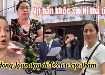 Má Tư Cao Tay Buộc Chi 3 Rút Đơn Xin Lỗi, Vịt Bẩn Ăn Đơn Khóc Lóc Xin Ni Tha Tội