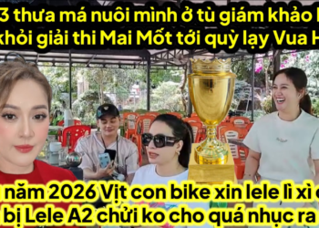 C3 bị loại khỏi thi giải Mai dàng gì thưa má nuôi mình ở tù,cầu cứu vua hài bị bem,vịt bike nhục quá