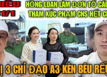 Hồng Loan Nộp Đơn Tố Cáo Bít Tham Xúc Phạm CNS Vũ Linh, Chị 3 Chỉ Đạo A3 Lên Hại Hồng Ni