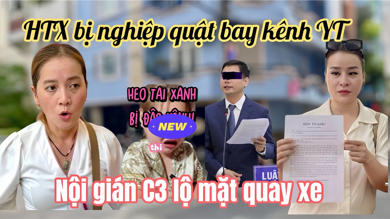 Heo Tai Xanh Khóc Ngất Cầu Cứu Cô 6 Bị Sập Kênh YT, Kẻ Này Quay Xe Ủng Hộ C3 Tố Ngược Hồng Loan?