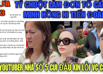 Tý Chuột Làm Đơn Tố Cáo Hình Sự Lê Minh Hồng Ni Tiên Đoàn Vì Bôi Nhọa Xúc Vc Bít Tham